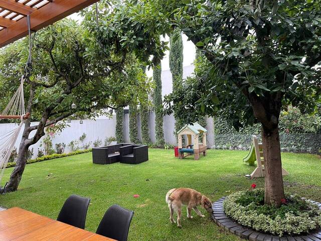 Jardín