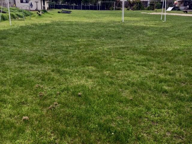 Terreno