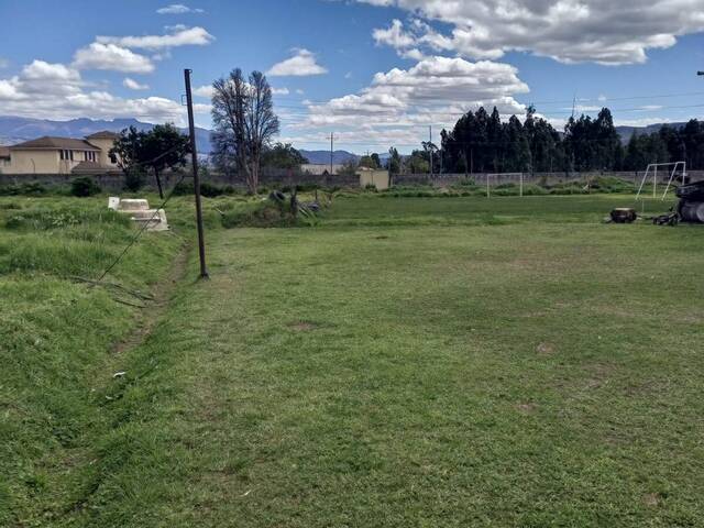 Terreno