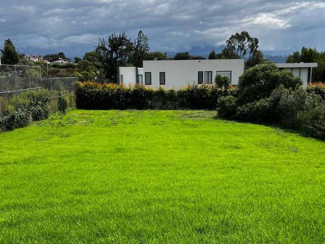 Terreno