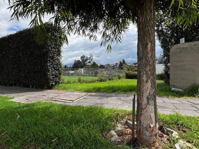Entrada al Terreno