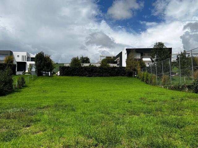 Terreno